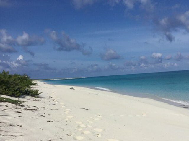 Things To Do In Salt Cay