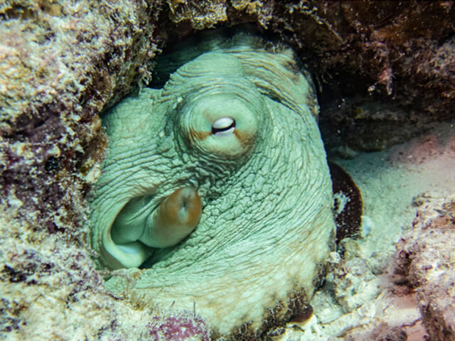 Things To Do In Salt Cay